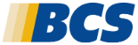 Bond Consulting Services logo